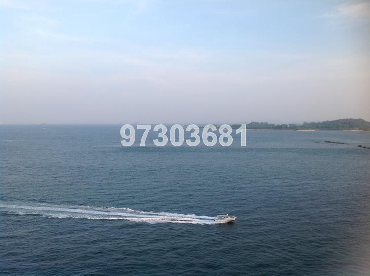 The Oceanfront @ Sentosa Cove (D4), Condominium #136125072